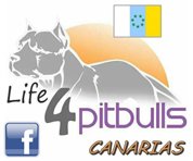 Life4pitbulls Canarias